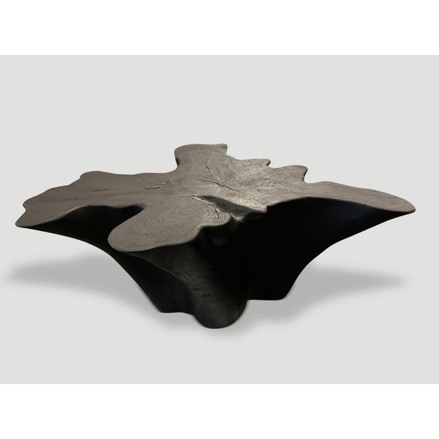 Andrianna Shamaris Sculptural Charred Teak Wood Coffee Table For Sale - Image 13 of 18