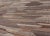 2020s Natural Brown Color-Tone Flat-Weave Kilim by Keivan Woven Arts 6'9 X 9'9 For Sale - Image 5 of 13