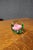 Hand-blown art glass paperweight featuring a pink rose encased in clear glass with green accents. Dated 1980 on the...