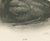 Early 20th Century After Lilian Medland, Young Cormorants, 1909, Print For Sale - Image 5 of 12