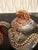 Late 20th Century Vintage Dainan Dragonware Moriage Hand Painted Creamer and Sugar Set For Sale - Image 5 of 13