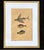 18th Century Framed Trio of Fish Engraving by Mark Catesby For Sale - Image 10 of 10