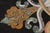 Stone Italian Style Pietra Dura Inlaid Marble Top Center Table For Sale - Image 7 of 16