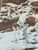 1970s "Pintos"–Bev Doolittle 403/1000 - Signed For Sale - Image 12 of 16