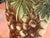 Mid-Century McCoy Green & Brown Grapes and Leaves Vase For Sale - Image 4 of 9