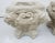Pair of Early 20th Century Painted Square Cast Stone Lion's Heads and Paw Feet Planters For Sale - Image 9 of 13