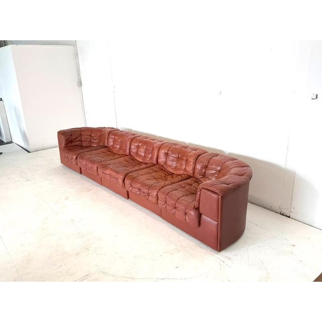 Animal Skin DS-11 Modular Leather Sofa from de Sede, Set of 5 For Sale - Image 7 of 18