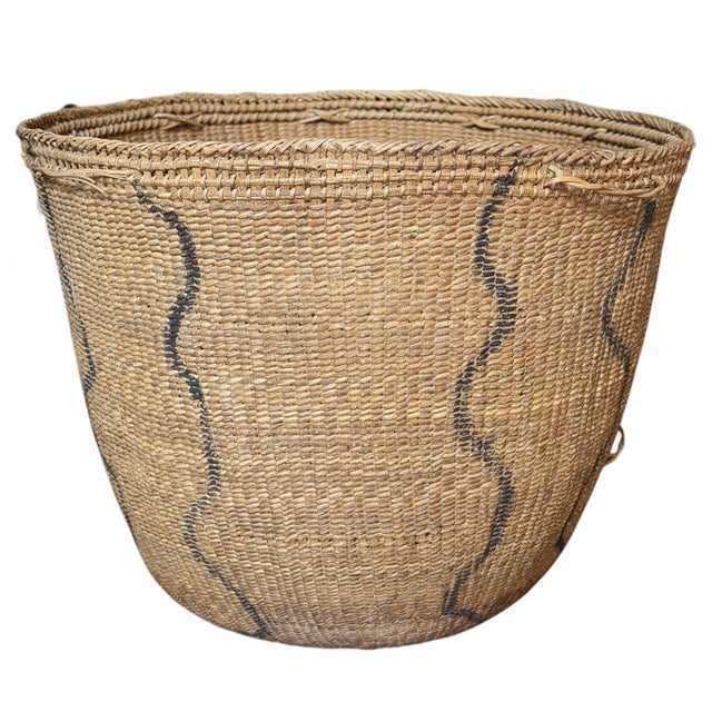 Yanomami Gathering Basket For Sale In Chicago - Image 6 of 13