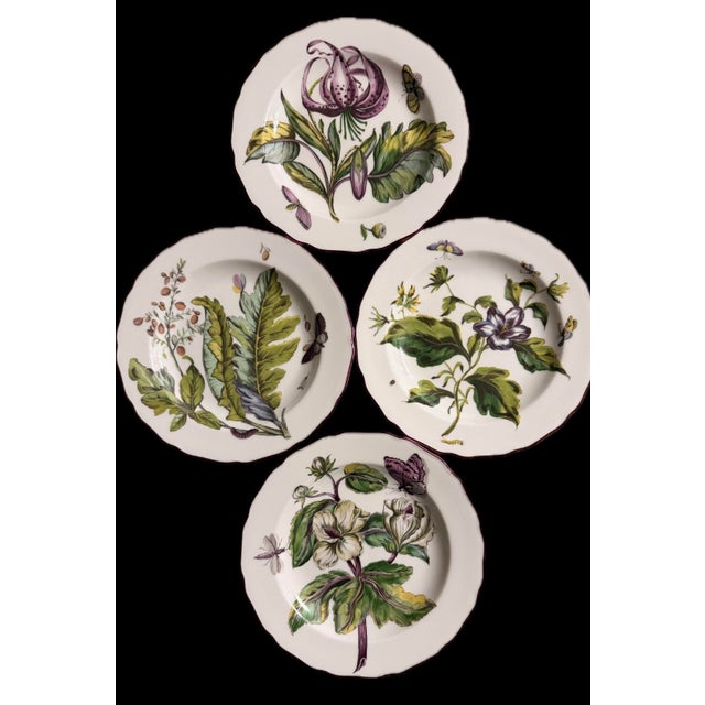 A rare collection of botanical plates commission by Sir Hans Sloane, used on original 18th-century Chelsea porcelain....