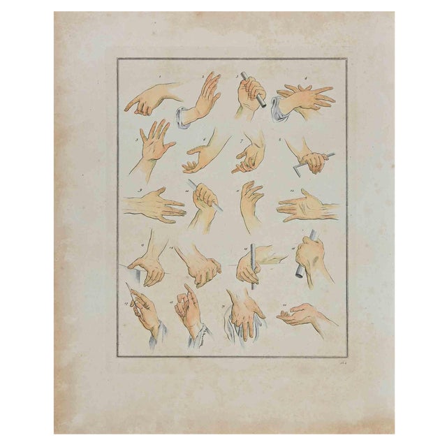 Thomas Holloway, Hands, The Physiognomy, Etching, 1810 For Sale