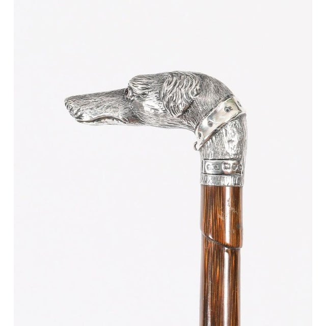Metal Antique Greyhound Head Sliver Handled Walking Stick Cane, 1890s For Sale - Image 7 of 12