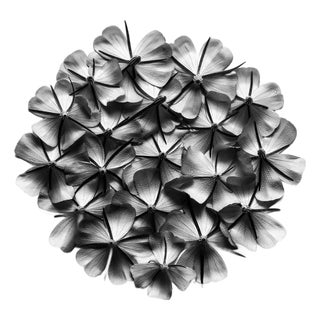 Ugne Pouwell, Misty Blooms, 2025, Photography For Sale