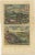 Gold Various Fish Species and Other Marine Life, 1726, Paper, Set of 12 For Sale - Image 8 of 14