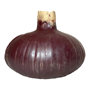 Vintage 95' Handmade Patricia Garrett Figural Vegetable Red Onion Pottery Vase