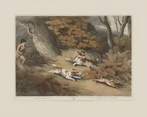 Hare Shooting- Giclee Print From British Field Sports