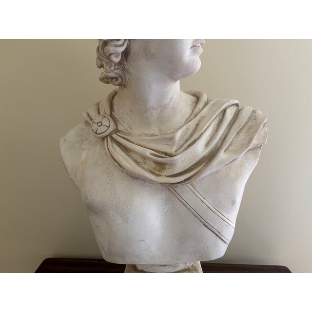 Late 20th Century Large Neoclassical Plaster Bust of Apollo Belvedere For Sale In South Bend - Image 6 of 12