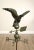 Vintage Copper Eagle Weathervane For Sale - Image 4 of 12