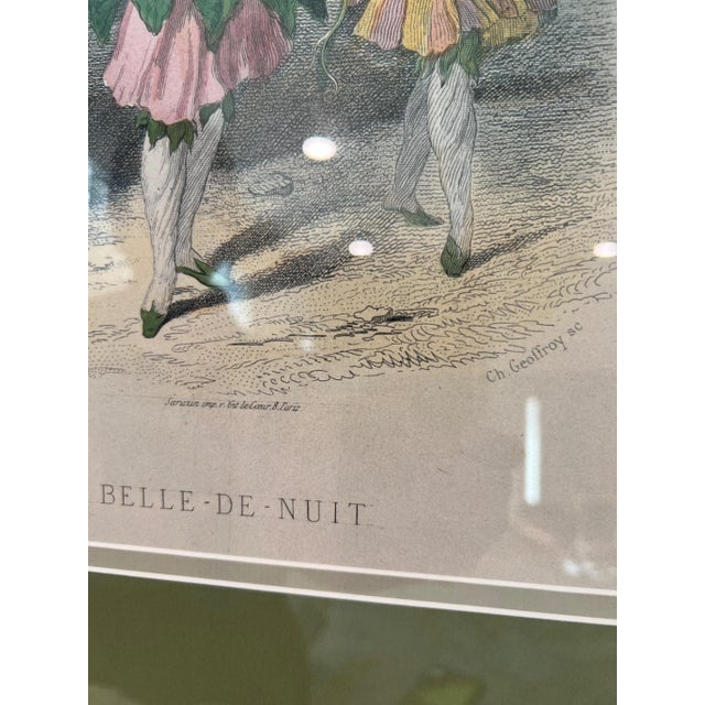 Grandville Belle-De-Nuit Hand-Colored Engraving Les Fleurs Animees For Sale In San Francisco - Image 6 of 15