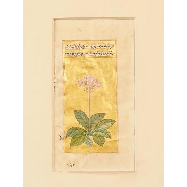Antique Persian Manuscript Gold Leaf Miniature Painting For Sale In New York - Image 6 of 9