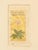 Antique Persian Manuscript Gold Leaf Miniature Painting For Sale In New York - Image 6 of 9