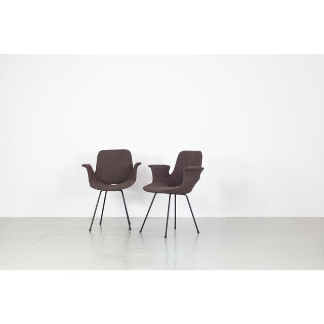 1960s Model Medea Chairs with Fabric Cover by Vittorio Nobili for Frattelli Tagliabue, 1960s, Set of 3 For Sale - Image 5 of 18