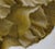 In "Intoxicants," a figure stands serenely amidst swirling leaves, embodying a sense of tranquility and introspection. The...