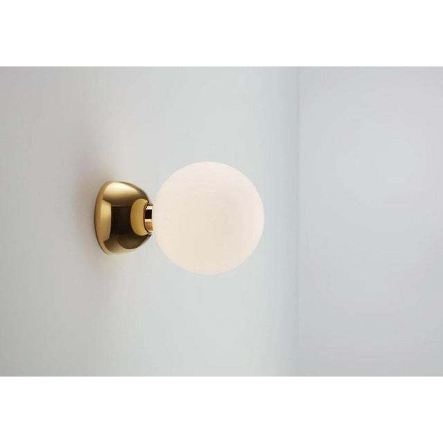 Aballs A II Me Golden Wall Lamp by Jaime Hayson for Parachilna For Sale - Image 9 of 11