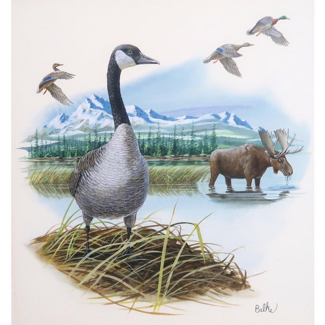 This wonderful wildlife painting is by the very accomplished Don Balke. It was published on the Fleetwood First Day Cover...