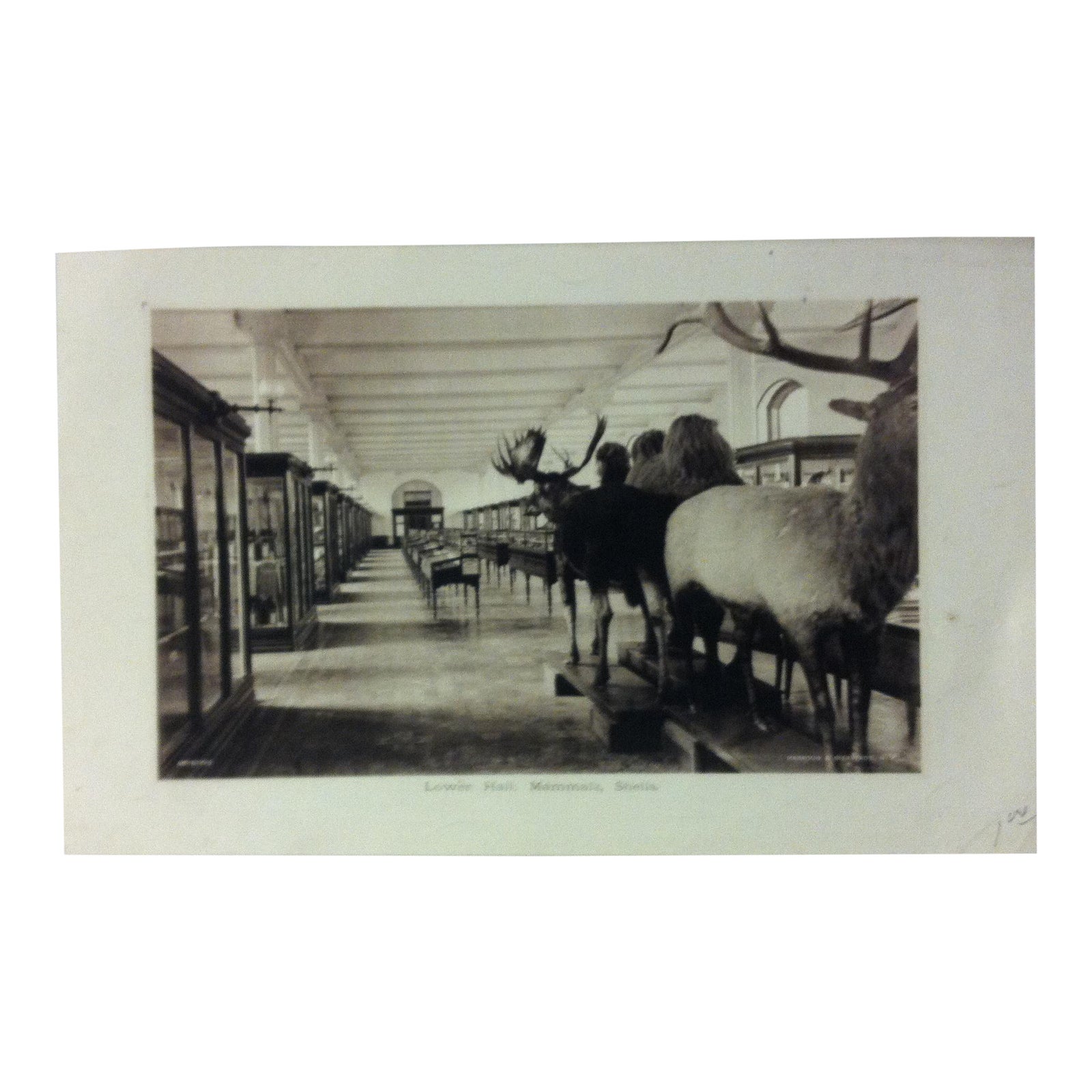 The latest tweets from michael schumacher (@schumacher). Vintage Black & White Print on Paper, "Lower Hall ...