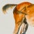Paint Original Signed Equestrian Watercolor Painting - Grazing Chestnut Horse Portrait, Framed and Matted For Sale - Image 7 of 11