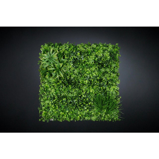 Not Yet Made - Made To Order Modular Ecuador Wall Vertical Garden Panel from VGnewtrend For Sale - Image 5 of 5