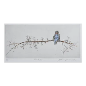 Contemporary Baby Blue Bird on Branch Etching