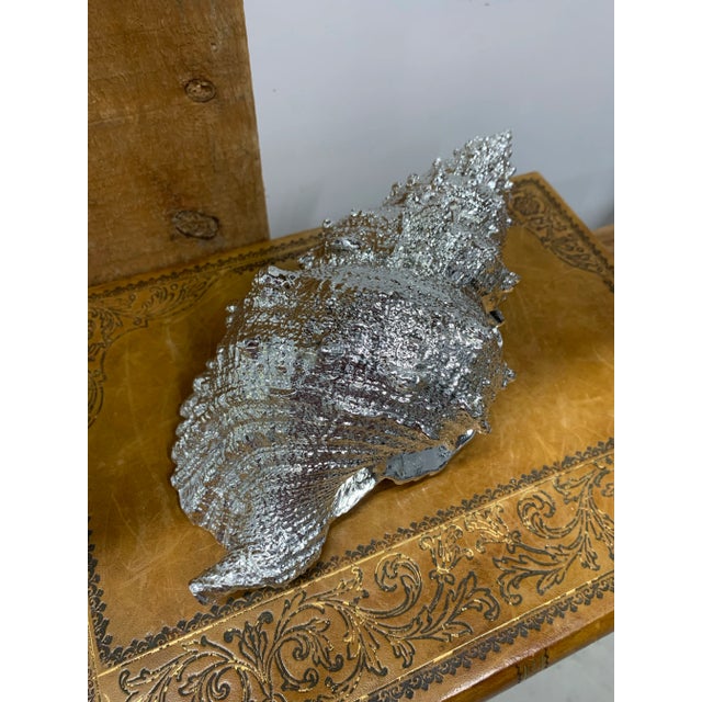 Set of 3 Vintage Faux Silver Sea Shells. Large Shell measures 11”W x 5.5”D x 5”H and the two Small Shells measure 5”W x...