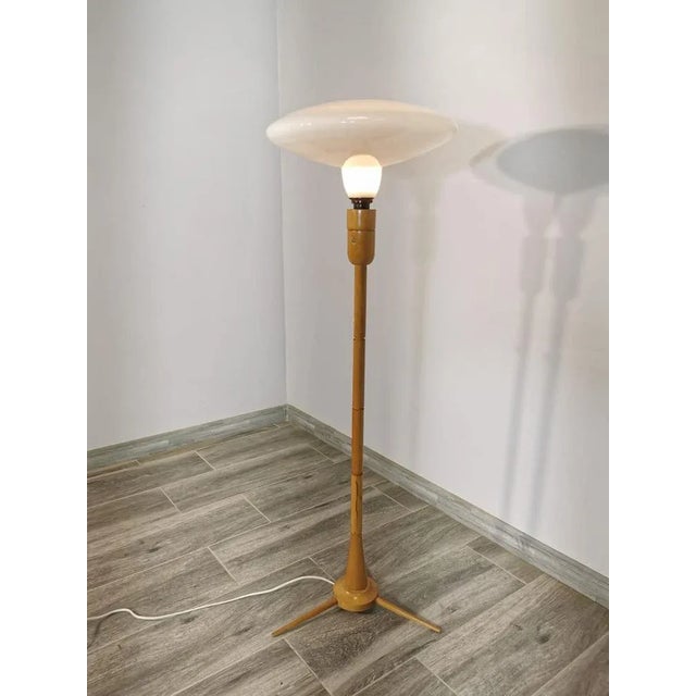 Floor Lamp by Krasna Jizba For Sale - Image 5 of 10