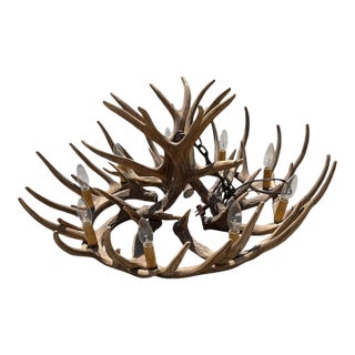 1940s Folky Wooden Elk Horn Chandelier For Sale