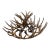 1940s Folky Wooden Elk Horn Chandelier For Sale