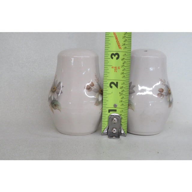 Cream Staffordshire Ceramic Daisey Flowers Set of Salt and Pepper Shakers For Sale - Image 8 of 12