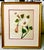 Original artwork of morning glories, signed by "Morton". Beautiful painting on silk on morning glories with custom matting...