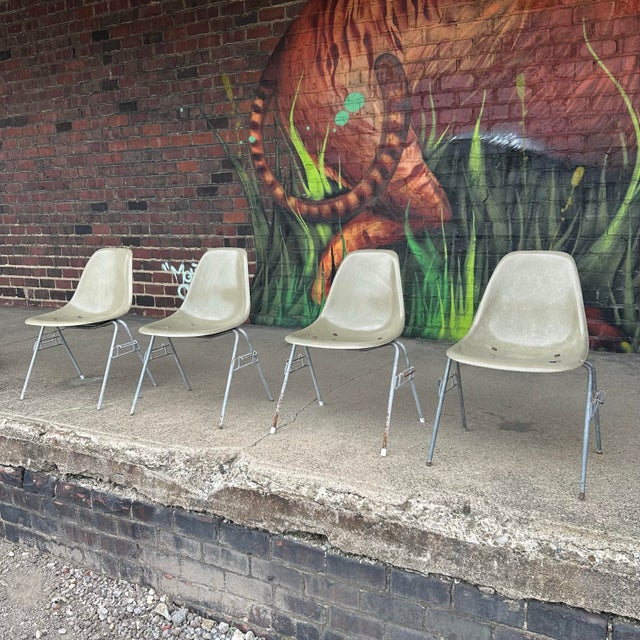 1960s DSS molded fiberglass shell chairs on stacking base, designed by Charles and Ray Eames for Herman Miller. Gleaming...