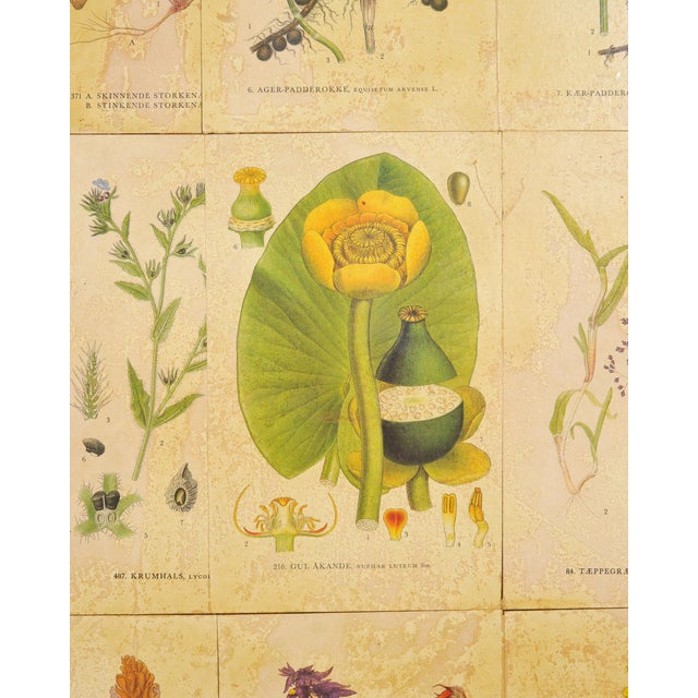 Beige 1940s Swedish Modern Nordens Flora Botanical Sideboard Cabinet For Sale - Image 8 of 18