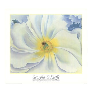 Georgia O'Keeffe- White Flower For Sale
