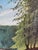Rustic European Vintage Woodland Lake Oil Painting, Forest Landscape Art - Signed For Sale - Image 3 of 14