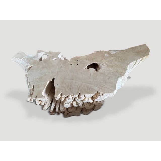 Andrianna Shamaris Bleached Sculptural Teak Wood Coffee Table For Sale - Image 4 of 18