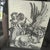 The School of Paris Professionally Framed Print by Albrecht Dürer "Coat of Arms With a Skull" For Sale - Image 3 of 9
