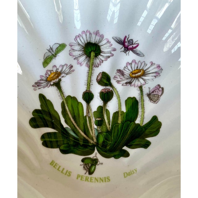 1970s Portmeirion “The Botanic Garden” Shell Form Dish Made in England For Sale In New York - Image 6 of 8