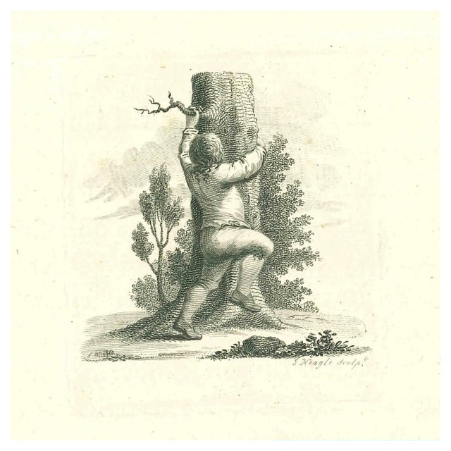 James Neagle, A Boy Climbing a Tree, Original Etching, 1810 For Sale
