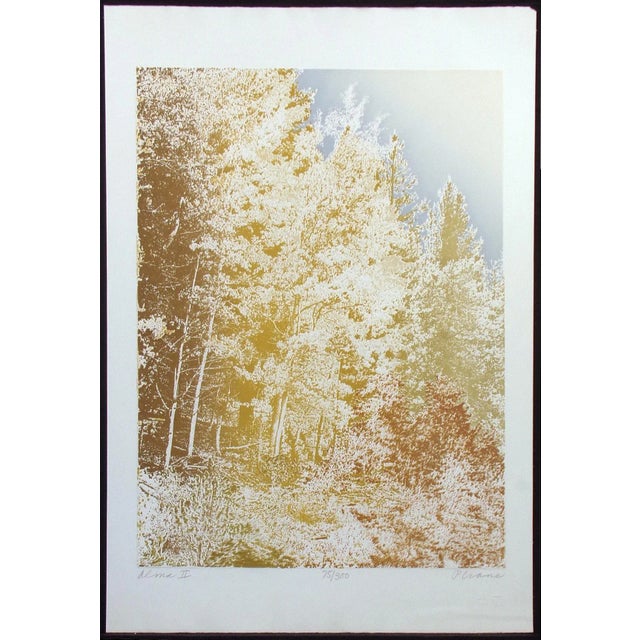 Paper Paula Crane "Alma Ii" Signed Numbered Artwork Etching of Forest, Trees For Sale - Image 7 of 7