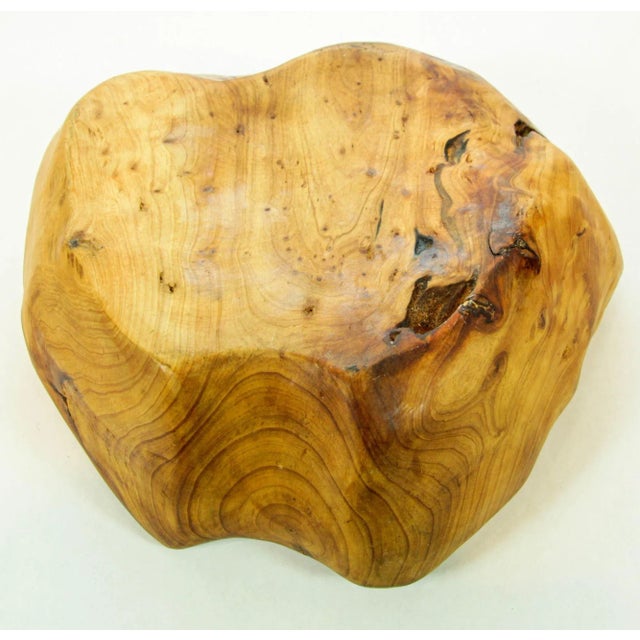Chestnut Organic Teak Burl Wood Bowl Natural Free Form Live Edge Sculptural Root Vessel For Sale - Image 8 of 12