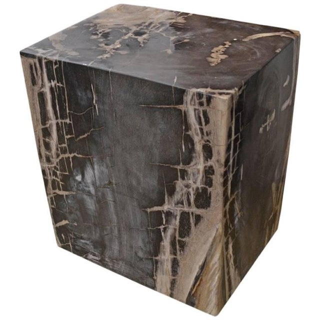 Andrianna Shamaris Petrified Wood Side Table For Sale - Image 15 of 18