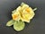 Yellow Italian Capodimonte Porcelain Flowers Yellow Roses For Sale - Image 8 of 12